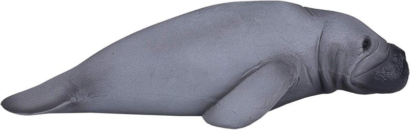 MOJO Manatee Realistic International Wildlife Hand Painted Toy Figurine - Image 1